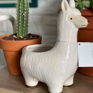 Ceramic Novelty Llama Planter